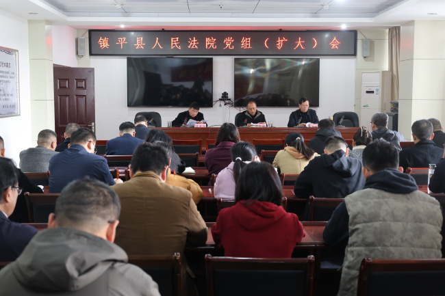 镇平县法院召开党组（扩大）会议专题学习贯彻党的二十届四中全会精神