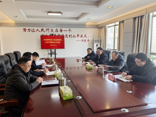 镇平县人民法院党组召开2025年度民主生活会